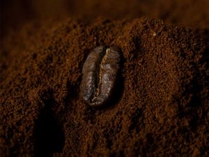 specialty coffee-sand-dust-coffee